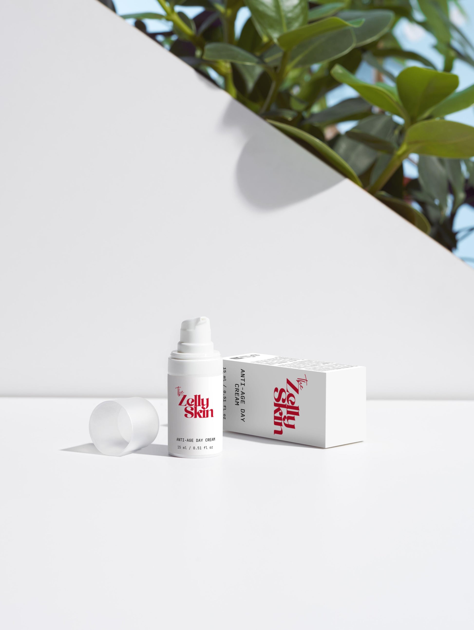 Anti-Age Day Cream